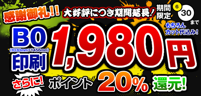 厚手マットコート紙が全てのサイズで1980円