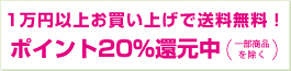 1万円以上お買い上げで送料無料 ポイント20%還元中
