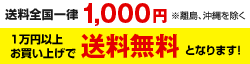 全国一律送料840円（離島、沖縄を除く）1万円以上で送料無料となります